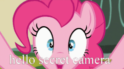 Size: 500x277 | Tagged: safe, edit, edited screencap, screencap, pinkie pie, earth pony, pony, make new friends but keep discord, animated, close-up, dick grayson, discovery family logo, excited, fourth wall, fourth wall destruction, gif, he wants all of the cakes, image macro, lego, looking at you, loop, meme, open mouth, screen shake, shaking, smiling, solo, the lego batman movie