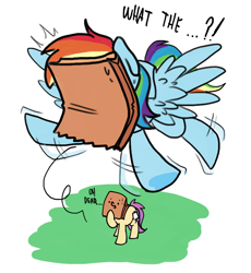 Size: 700x760 | Tagged: safe, artist:paperbagpony, derpibooru import, rainbow dash, oc, oc:paper bag, earth pony, pegasus, pony, blinded, dialogue, fake cutie mark, female, flying, mare, oh dear, paper bag