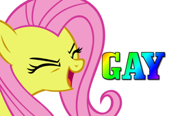 Size: 1016x686 | Tagged: safe, fluttershy, pegasus, pony, eyes closed, female, flutteryay, gay, male, mare, meme, yay