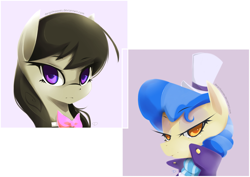 Size: 1024x724 | Tagged: safe, artist:derpiihooves, octavia melody, sapphire shores, earth pony, pony, simple background, white background