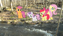 Size: 1696x954 | Tagged: safe, apple bloom, fluttershy, scootaloo, sweetie belle, creek, cutie mark crusaders, forest, irl, photo, ponies in real life, river