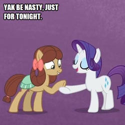 Size: 480x480 | Tagged: safe, edit, edited screencap, screencap, rarity, yona, pony, unicorn, school daze, she's all yak, caption, cropped, duo, female, image macro, mare, ponified, pony yona, species swap, text