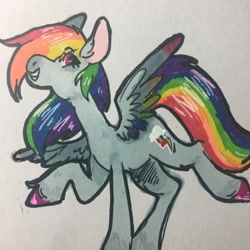 Size: 3024x3024 | Tagged: safe, artist:casketprince, derpibooru import, rainbow dash, pegasus, pony, backwards cutie mark, solo, traditional art