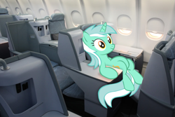 Size: 1023x683 | Tagged: safe, lyra heartstrings, aircraft, irl, jet, plane, ponies in real life, sitting lyra