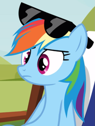 Size: 641x846 | Tagged: safe, derpibooru import, screencap, rainbow dash, pegasus, pony, too many pinkie pies, chair, cropped, solo, sunglasses