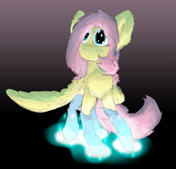 Size: 5443x5220 | Tagged: safe, artist:firefanatic, fluttershy, pegasus, pony, absurd resolution, alternate hairstyle, chest fluff, clothes, cute, fluffy, gradient background, looking up, socks, solo, spread wings, wings