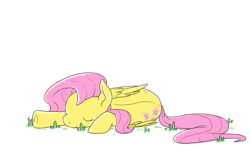 Size: 1024x635 | Tagged: safe, artist:jennilah, fluttershy, pegasus, pony, both cutie marks, cute, grass, shyabetes, simple background, sleeping, white background