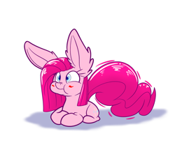 Size: 1280x1067 | Tagged: safe, artist:heir-of-rick, pinkie pie, earth pony, pony, big ears, blushing, cute, diapinkes, ear fluff, pinkamena diane pie, ponk, prone, puffy cheeks, scrunchy face, simple background, solo, white background