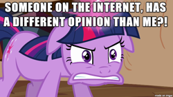 Size: 610x343 | Tagged: safe, derpibooru import, twilight sparkle, angry, image macro, meme, opinion