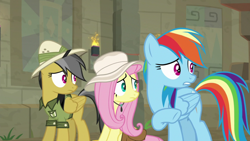 Size: 1920x1080 | Tagged: safe, derpibooru import, screencap, daring do, fluttershy, rainbow dash, pegasus, pony, daring doubt