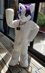 Size: 2189x3563 | Tagged: safe, rarity, human, clothes, convention, cosplay, costume, everfree northwest, everfree northwest 2019, fursuit, irl, irl human, photo