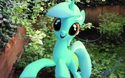 Size: 1920x1200 | Tagged: safe, artist:deathpwny, lyra heartstrings, 3d, blender, cute, irl, photo, ponies in real life