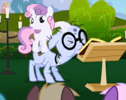 Size: 294x233 | Tagged: safe, screencap, coco crusoe, lyra heartstrings, mr. waddle, sweetie belle, earth pony, pony, unicorn, hearts and hooves day (episode), animated, background pony, clerical collar, elderly, female, filly, gif, glasses, hearts and hooves day, liver spots, male, noogie, stallion, the perfect stallion