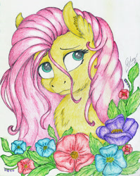 Size: 1561x1961 | Tagged: safe, artist:check3256, fluttershy, pegasus, pony, bust, chest fluff, cute, flower, looking sideways, looking up, portrait, shyabetes, solo, stray strand, traditional art