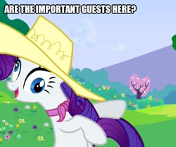 Size: 601x500 | Tagged: safe, edit, edited screencap, screencap, rarity, pony, unicorn, a canterlot wedding, caption, cropped, derp, hat, image macro, solo, text