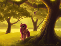 Size: 1920x1440 | Tagged: safe, artist:joellethenose, fluttershy, bird, pegasus, pony, crepuscular rays, female, folded wings, forest, grass, lake, looking up, mare, scenery, solo, tree, under the tree, water