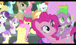 Size: 800x480 | Tagged: safe, screencap, apple bloom, applejack, carrot top, doctor whooves, fluttershy, golden harvest, lily, lily valley, pinkie pie, rarity, spike, sweetie belle, twilight sparkle, twilight sparkle (alicorn), alicorn, dragon, earth pony, pegasus, pony, unicorn, newbie dash, cotton candy, discovery family logo, food, male, stallion, wing hands