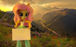 Size: 1080x675 | Tagged: safe, artist:whatthehell!?, edit, fluttershy, equestria girls, doll, equestria girls minis, eqventures of the minis, irl, photo, template, toy