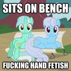 Size: 390x390 | Tagged: safe, edit, edited screencap, screencap, linky, lyra heartstrings, shoeshine, dragonshy, bench, caption, cropped, duo, fanon, human behavior, image macro, looking at you, sitting, sitting lyra, vulgar