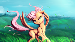 Size: 1920x1080 | Tagged: safe, artist:miokomata, fluttershy, pegasus, pony, fangs, female, floppy ears, flutterfang, frown, grass field, mare, meadow, scenery, signature, solo, wind, windswept hair, windswept mane, windy