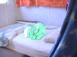 Size: 607x455 | Tagged: safe, artist:tesla51, lyra heartstrings, bed, ponies in real life, sleeping, solo, vector