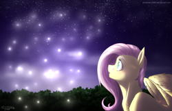 Size: 3848x2500 | Tagged: safe, artist:lrusu, fluttershy, firefly (insect), pegasus, pony, high res, night, solo