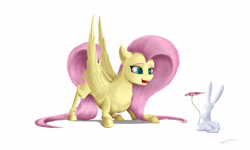 Size: 5000x3000 | Tagged: safe, artist:skitsroom, angel bunny, fluttershy, pegasus, pony, absurd resolution, flower, signature, simple background