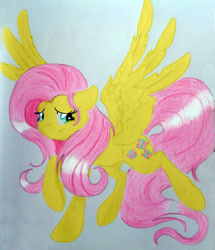 Size: 1663x1934 | Tagged: safe, artist:thorinstrawberry, fluttershy, pegasus, pony, solo, traditional art