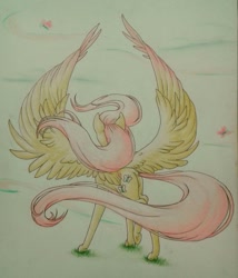 Size: 1362x1591 | Tagged: safe, artist:cloud-dash, fluttershy, pegasus, pony, colored wings, female, looking away, mare, multicolored wings, raised leg, rear view, solo, spread wings, traditional art, windswept hair, windswept mane, wings