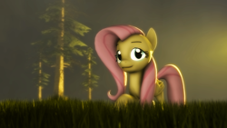 Size: 1920x1080 | Tagged: safe, artist:jaygaming1, fluttershy, pegasus, pony, 3d, grass, lighting, looking at you, poster, raised hoof, solo, source filmmaker, sunset, tree