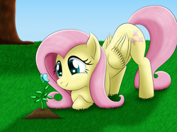 Size: 2885x2154 | Tagged: safe, artist:lifesharbinger, fluttershy, butterfly, pegasus, pony, cute, female, folded wings, grass field, looking at something, mare, scenery, shyabetes, smiling, solo, tree