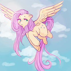 Size: 2686x2684 | Tagged: safe, artist:k9core, fluttershy, pegasus, pony, cloud, female, flying, mare, solo, unshorn fetlocks