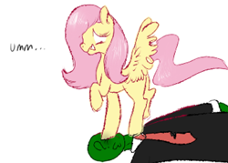 Size: 812x583 | Tagged: artist needed, safe, fluttershy, oc, oc:anon, pegasus, pony, simple background, trampling, white background