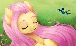 Size: 3250x2000 | Tagged: safe, artist:exceru-karina, fluttershy, butterfly, pegasus, pony, bust, cute, eyes closed, female, grass, mare, portrait, shyabetes, sleeping, smiling, solo
