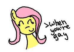 Size: 341x243 | Tagged: safe, fluttershy, pegasus, pony, female, inside joke, lesbian, solo