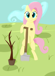 Size: 1751x2400 | Tagged: safe, artist:ragmo, fluttershy, pegasus, pony, arbor day, cloud, day, shovel, solo, standing, tree