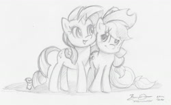 Size: 4458x2730 | Tagged: source needed, safe, artist:imdrunkontea, applejack, rarity, earth pony, pony, unicorn, absurd resolution, commission, female, hug, lesbian, pencil drawing, rarijack, shipping, sketch, traditional art