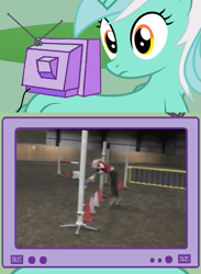 Size: 563x769 | Tagged: safe, lyra heartstrings, human, animal behavior, exploitable meme, irl, irl human, meme, obligatory pony, photo, tv meme