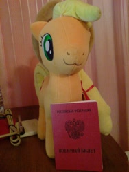 Size: 960x1280 | Tagged: safe, artist:onlyfactory, applejack, :3, bootleg, irl, passport, photo, plushie, russian, solo, toy