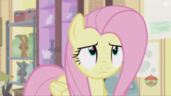 Size: 914x512 | Tagged: safe, screencap, fluttershy, pegasus, pony, fluttershy leans in, fluttershy is not amused, unamused