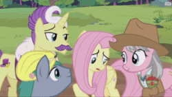 Size: 400x225 | Tagged: safe, screencap, dandy grandeur, fluttershy, hard hat (character), wrangler, pegasus, pony, fluttershy leans in, angry, animated, gif, hard hat, hat, skunk stripe, spread wings, wings