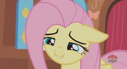 Size: 844x462 | Tagged: safe, screencap, fluttershy, pegasus, pony, fluttershy leans in, cute, female, floppy ears, mare, shyabetes, smiling, solo