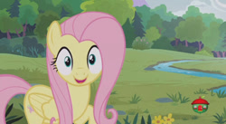 Size: 844x462 | Tagged: safe, screencap, fluttershy, pegasus, pony, fluttershy leans in, cute, female, looking at you, mare, open mouth, raised hoof, shyabetes, smiling, solo