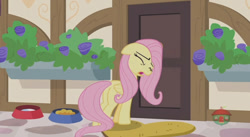 Size: 844x462 | Tagged: safe, screencap, fluttershy, pegasus, pony, fluttershy leans in, door, solo