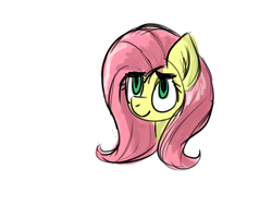 Size: 1600x1200 | Tagged: safe, artist:hatch21, fluttershy, pegasus, pony, female, mare, solo