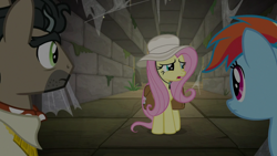 Size: 1920x1080 | Tagged: safe, derpibooru import, screencap, doctor caballeron, fluttershy, rainbow dash, pegasus, pony, daring doubt