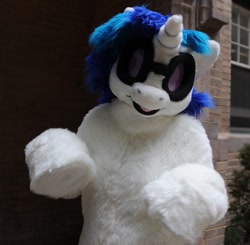 Size: 683x668 | Tagged: safe, artist:spainfischer, dj pon-3, vinyl scratch, fursuit, irl, photo