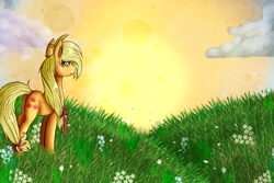 Size: 1500x1000 | Tagged: safe, artist:wolfchen999, applejack, earth pony, pony, hatless, meadow, missing accessory, solo