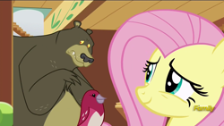 Size: 1920x1080 | Tagged: safe, screencap, fluttershy, harry, bear, bird, pegasus, pony, fluttershy leans in, animal, cute, discovery family logo, female, male, mare, shyabetes, songbird, trio