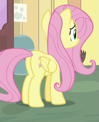 Size: 511x625 | Tagged: safe, screencap, fluttershy, pegasus, pony, fluttershy leans in, cropped, female, mare, plot, smiling, solo